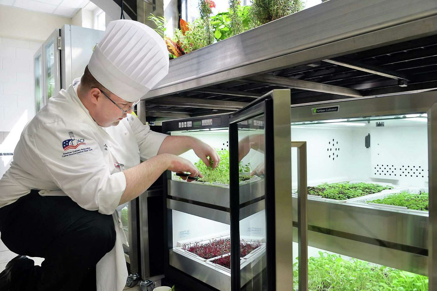 Coaching et Accompagnement - Nutrifarmer Pro