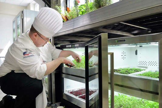 Coaching et Accompagnement - Nutrifarmer Pro