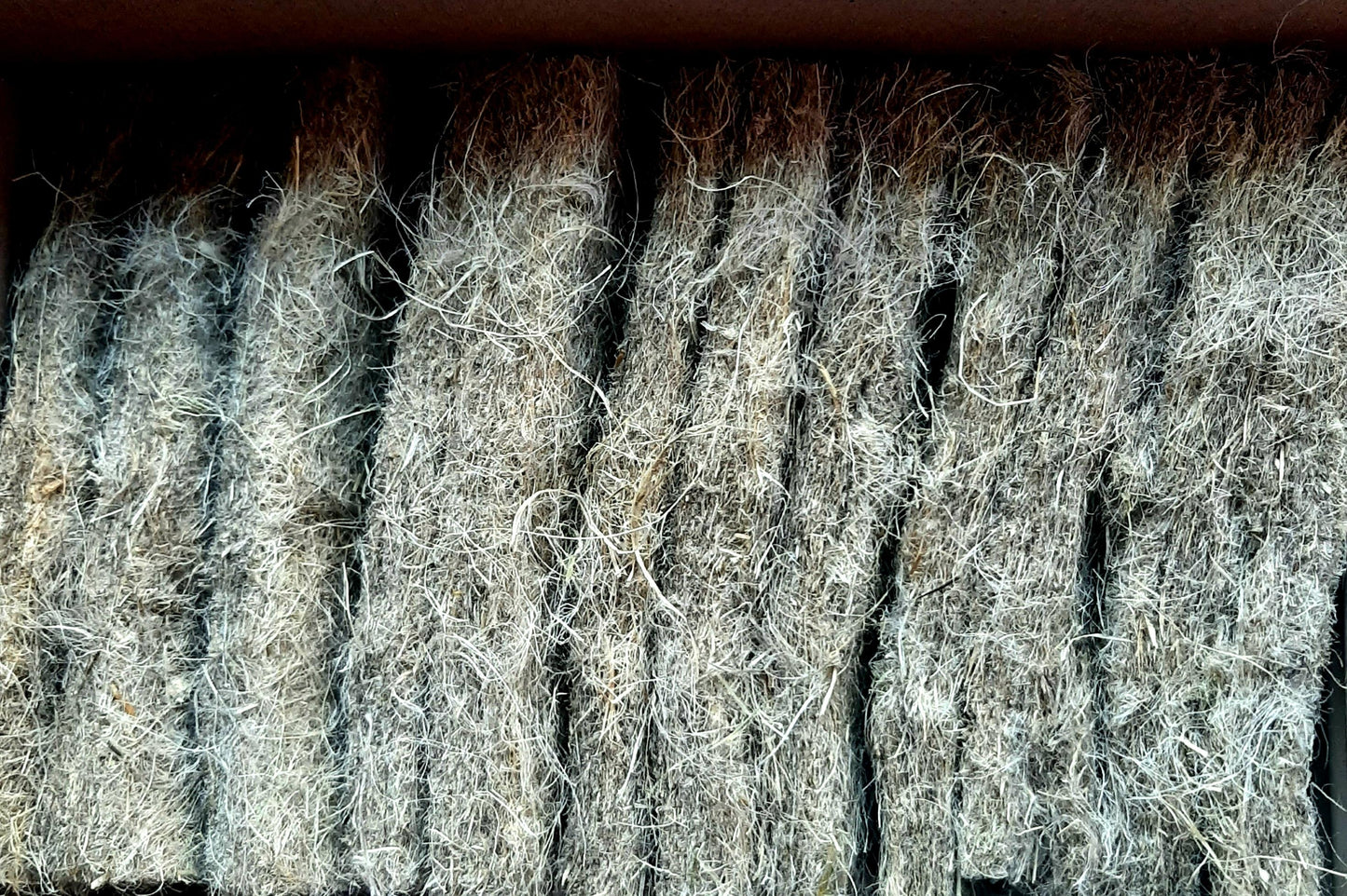 Kit de culture pour micropousses