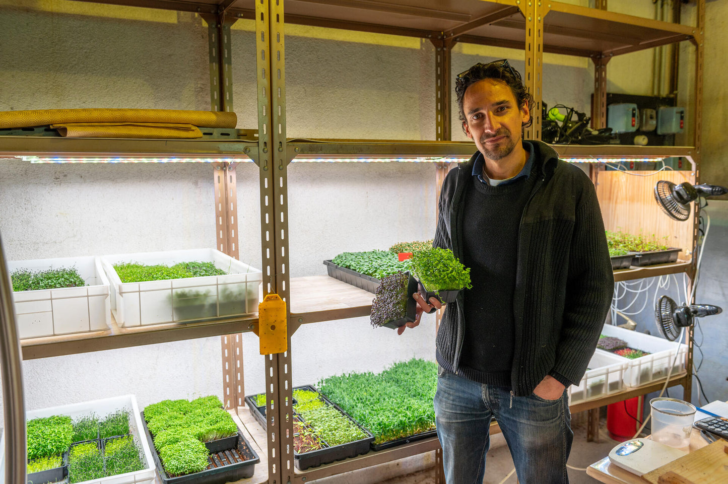 Coaching & accompagnement - Easy Start