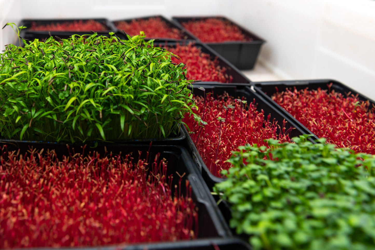 Coaching & accompagnement - Easy Start