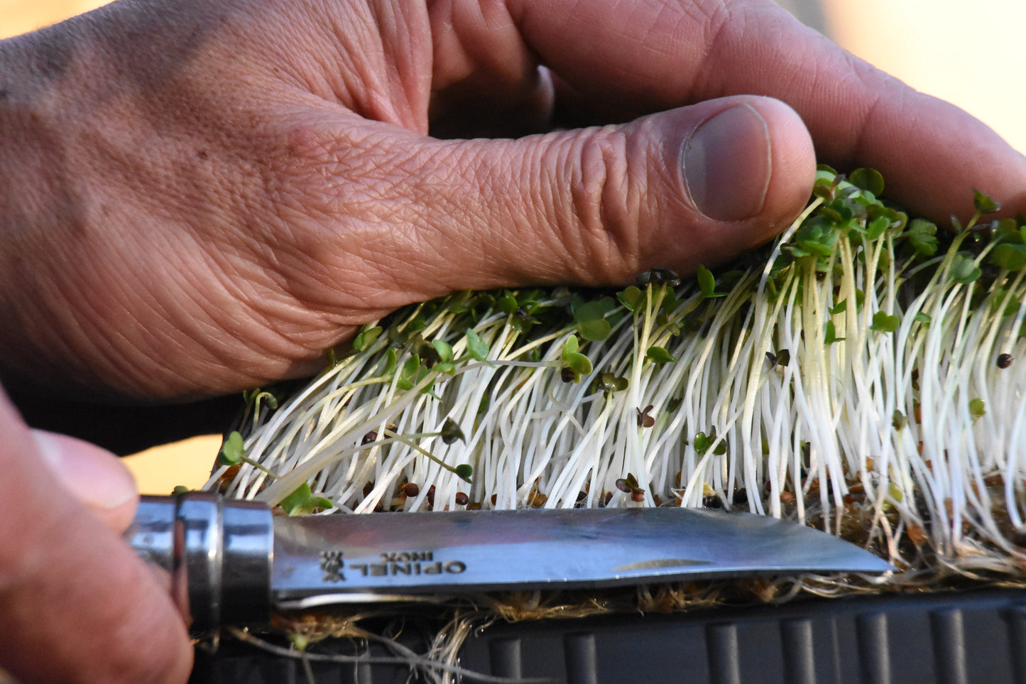 Coaching & accompagnement - Easy Start