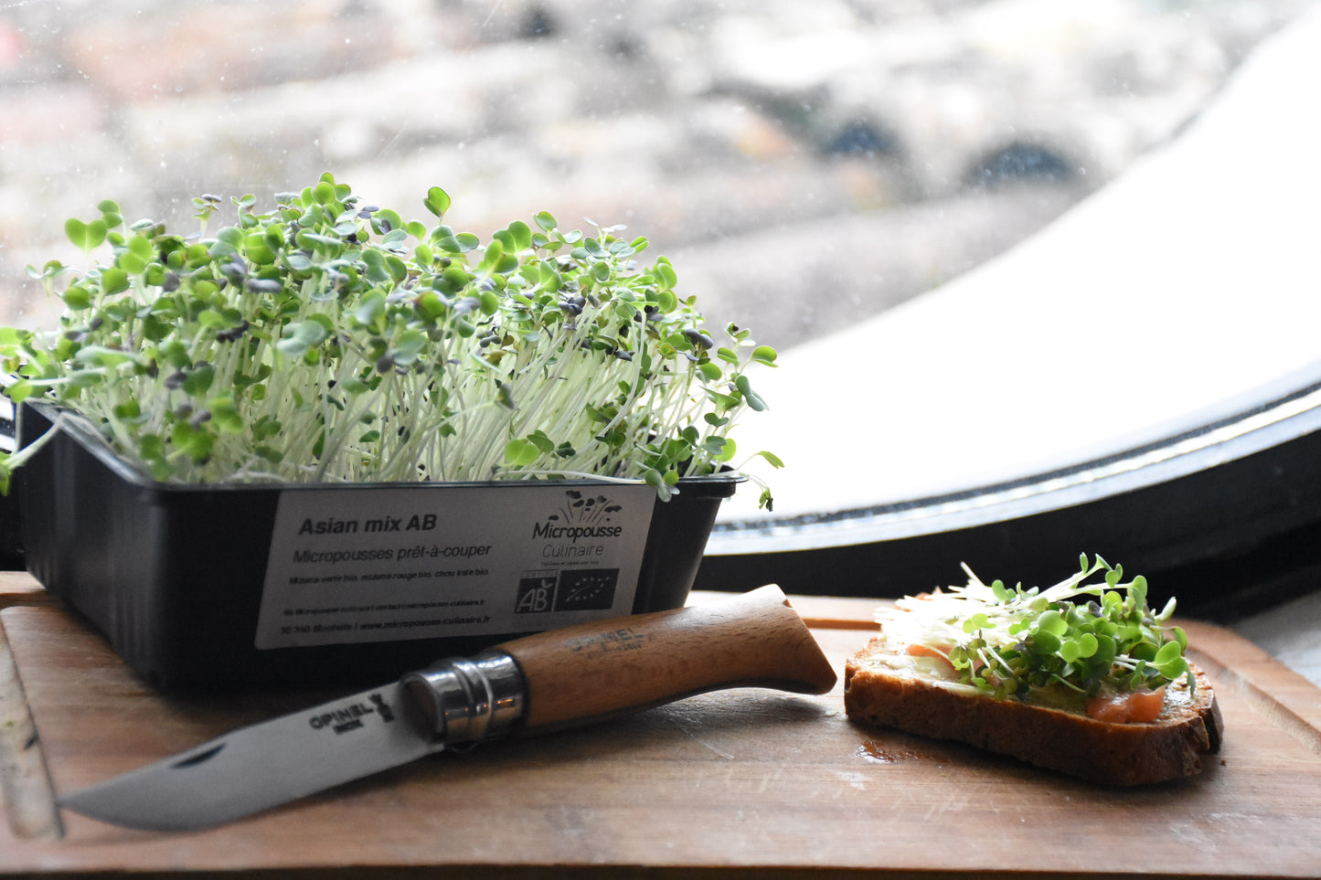 Coaching & accompagnement - Easy Start