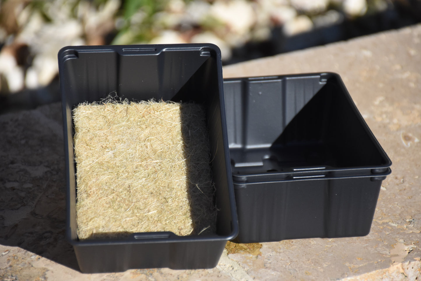 Coaching & accompagnement - Easy Start