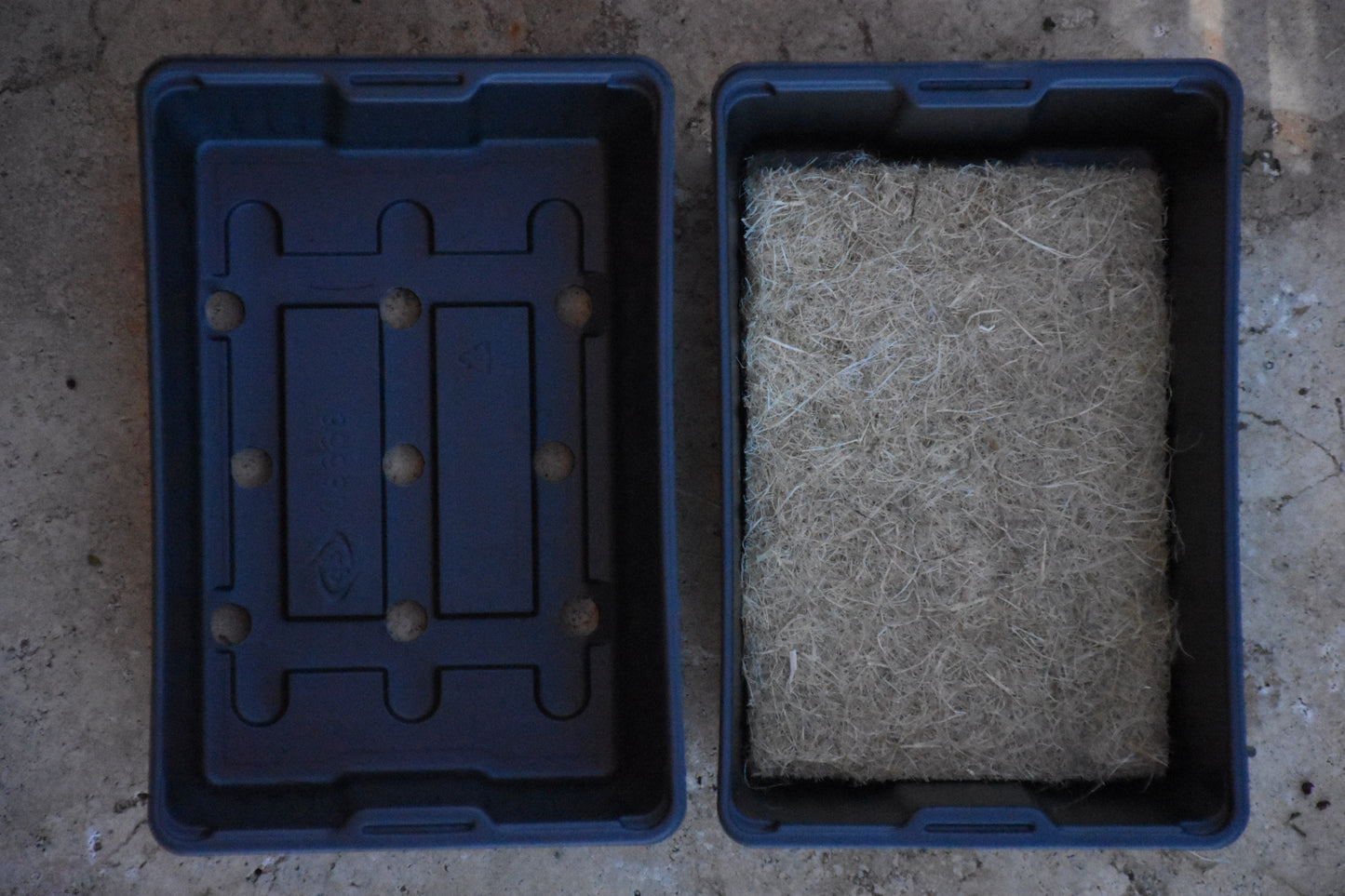 Lot de 25 barquettes de culture pour micropousses