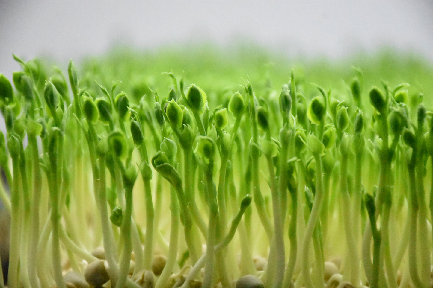 Coaching & accompagnement - Easy Start