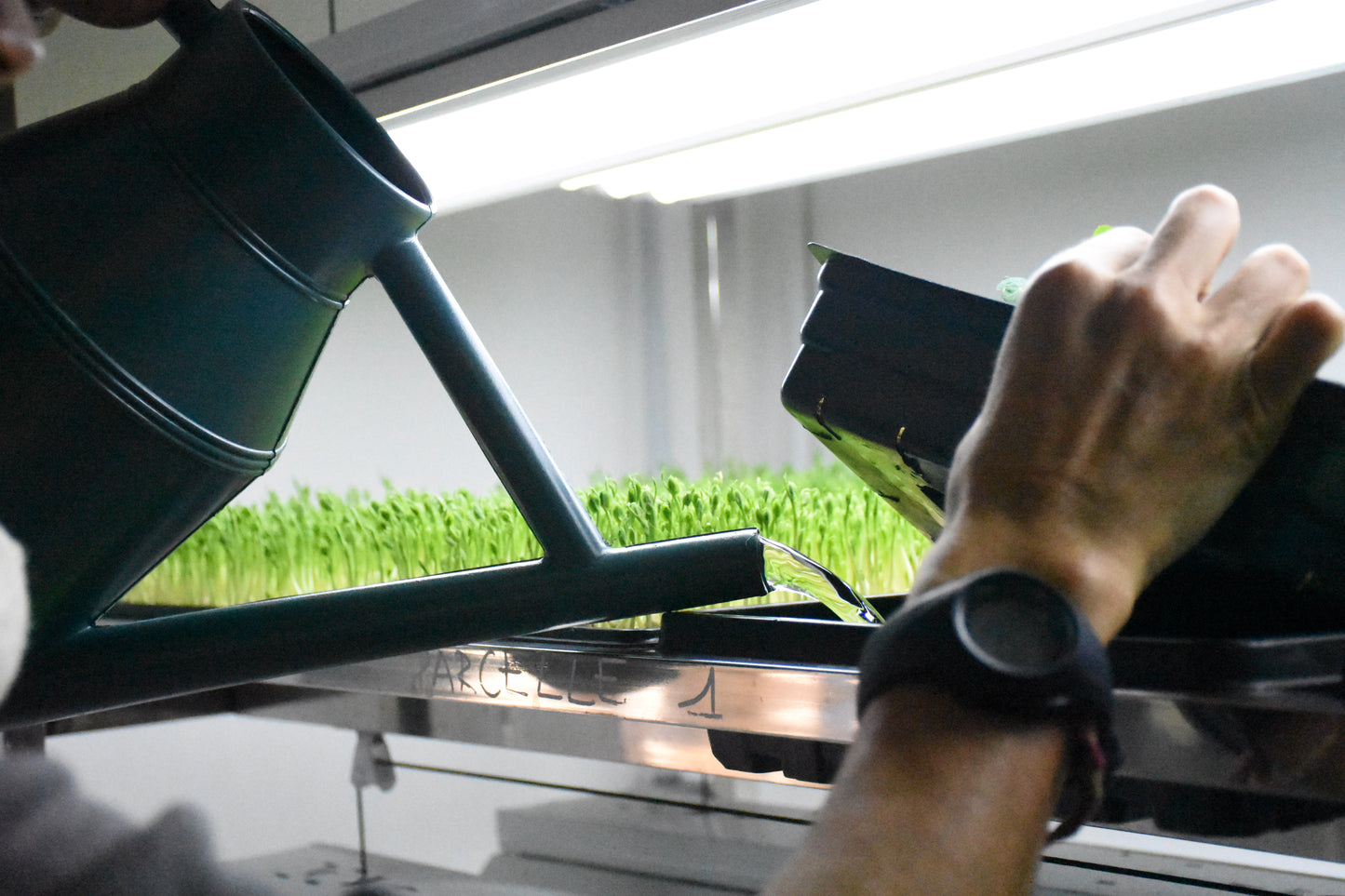 Coaching & accompagnement - Easy Start