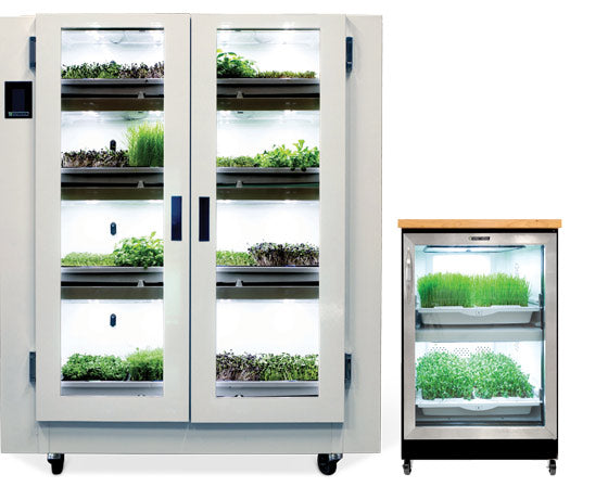 Coaching et Accompagnement - Nutrifarmer Pro