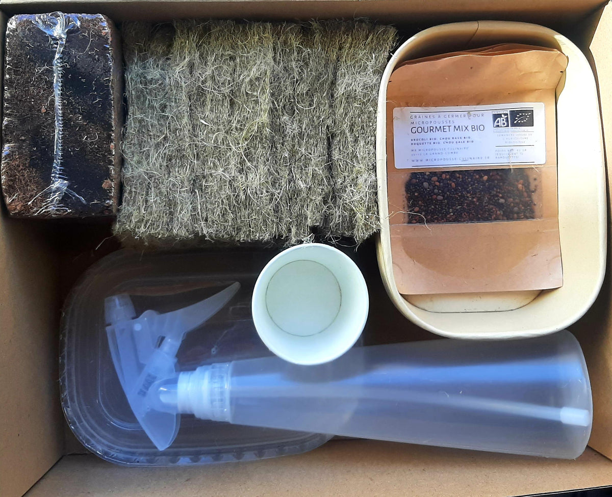 Kit complet de culture de micropousses
