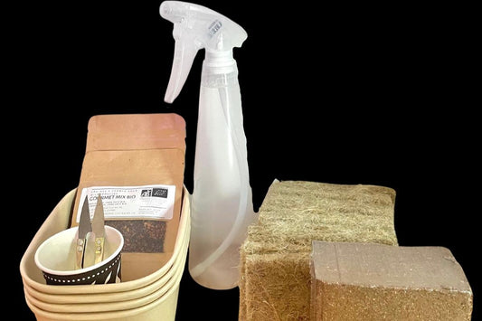 Kit de culture pour micropousses